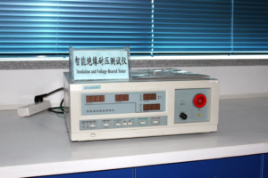 Insulation and Voltage-Beared Tester (2)